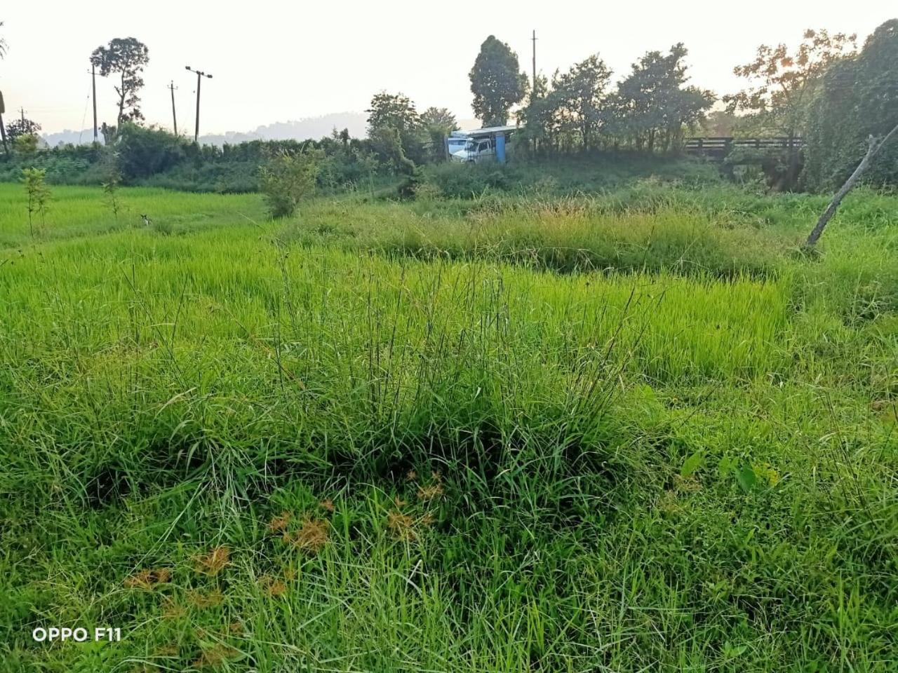 Samz Estate Stay 2Bhk Madikeri Ngoại thất bức ảnh