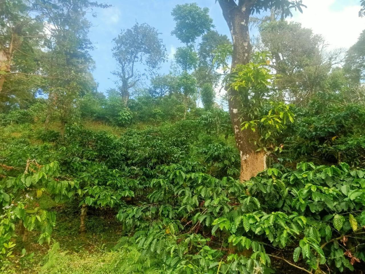 Samz Estate Stay 2Bhk Madikeri Ngoại thất bức ảnh